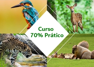 Curso Consultor ambiental