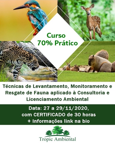 Curso Consultor ambiental